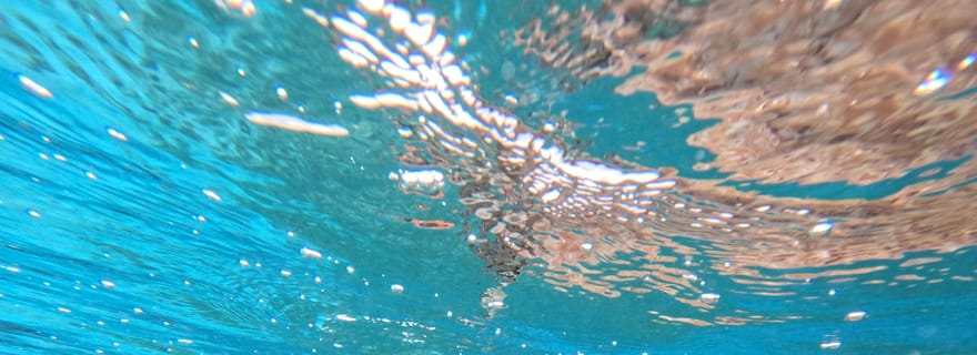 plongée avec masque et tuba avec des poissons tropicaux, des récifs et à la recherche de tortues