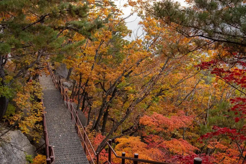 Seoul: Mt Seoraksan, Naksansa & Naksan Beach Private Tour