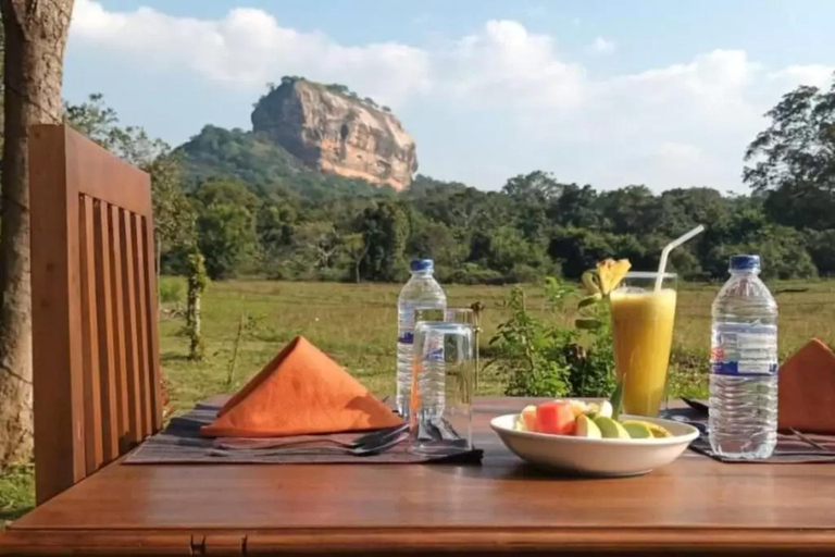 From Colombo: Dambulla, Sigiriya, and Jeep Safari Day Trip