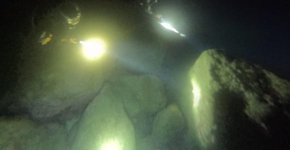 Chania: Night Scuba Dive for Certified Divers