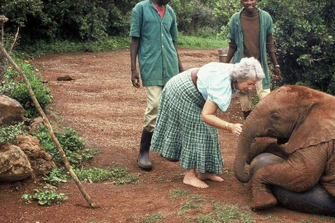 Nairobi; Excursión al Parque Nacional de Nairobi y al Orfanato de Elefantes