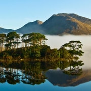 From Galway: Connemara, Kylemore Abbey or National Park Tour