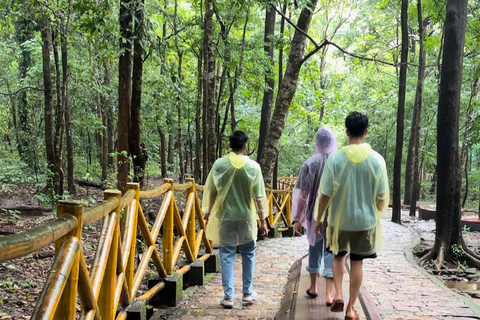 Da Kochi: Escursione di un giorno alle cascate di Athirappilly con trasferimenti