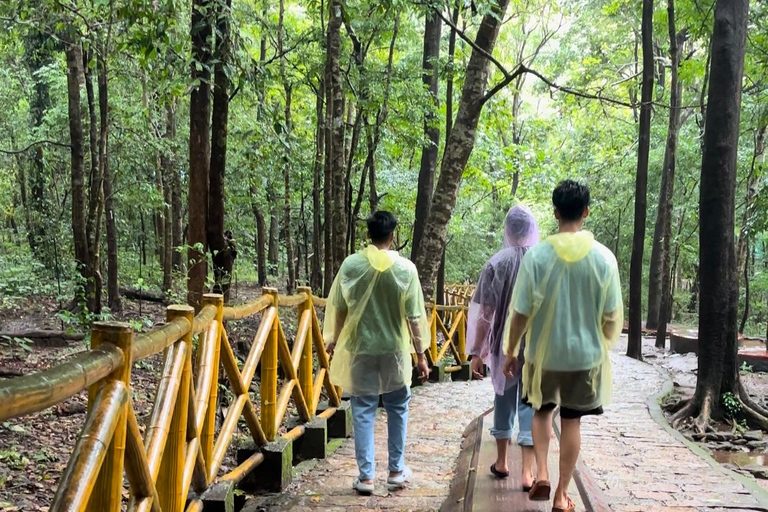 Da Kochi: Escursione di un giorno alle cascate di Athirappilly con trasferimenti