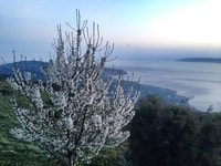 Trekking - Housity