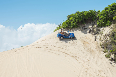 From Natal: Genipabu Dunes Buggy Adventure