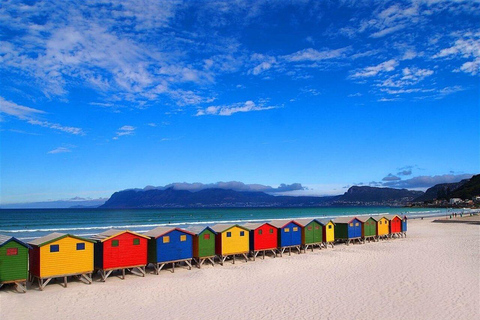 Cape Town: Penguins & Cape of Good Hope Half-Day Shared Tour