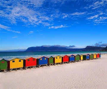 Cape Town: Penguenler ve Ümit Burnu Yarım Günlük Tur