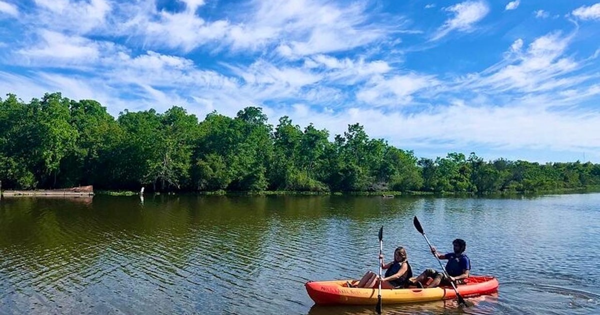 La NouvelleOrléans Location de kayak sur le Bayou Bienvenue (auto