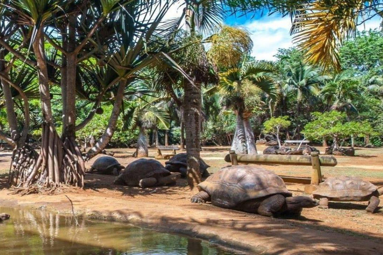 Maurice : visite privée du sud-ouest sauvage à la journéetournée du sud sauvage 2