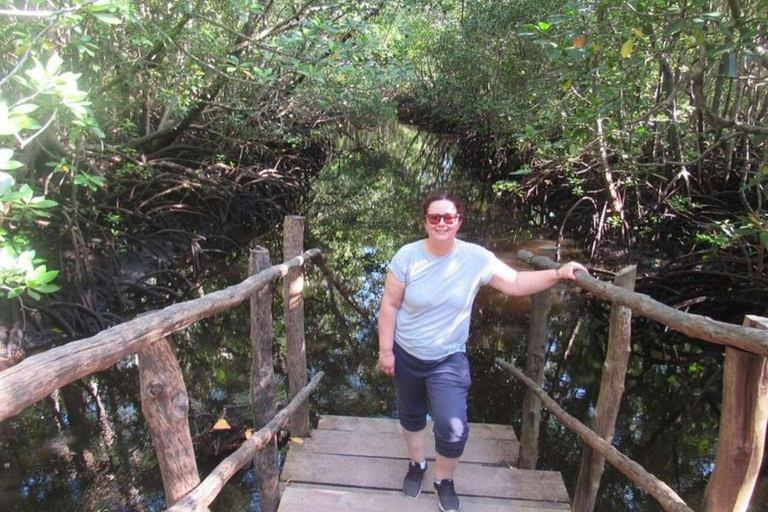 桑给巴尔：乔赞尼森林、库扎洞穴与蓝礁湖+海星探秘桑给巴尔：乔赞尼森林、库扎洞穴与蓝礁湖+海星