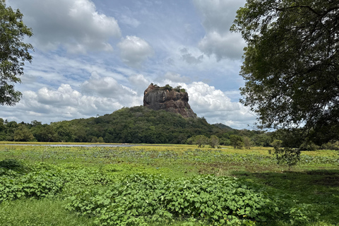 Tour privato di Sigiriya Dambulla Minneriya Safari di un giorno interoServizio di prelievo in hotel a Kandy o Matale