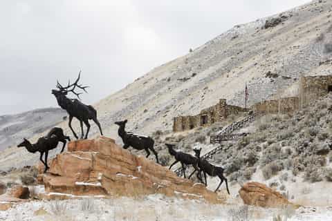 Jackson Hole: National Museum of Wildlife Art Entry Tickets