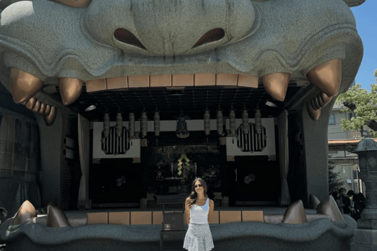 Tokyo City Must See Highlights Full Adjustable Itinerary