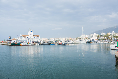 Benalmádena: Sailing & Dolphin Watching with Snacks/Drinks 2-h Shared Catamarán Day / Sunset