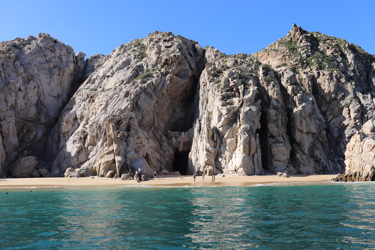 Cabo Encounter with Optional Clear Boat and Lunch