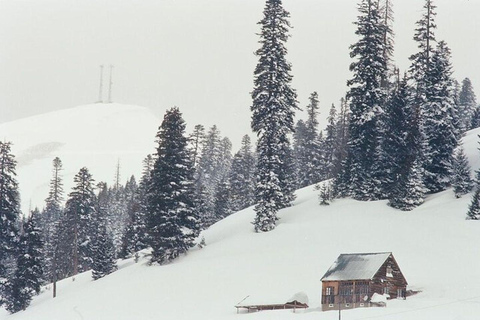 From Batumi: Bakhmaro Winter Tour with Nabeghlavi Stop