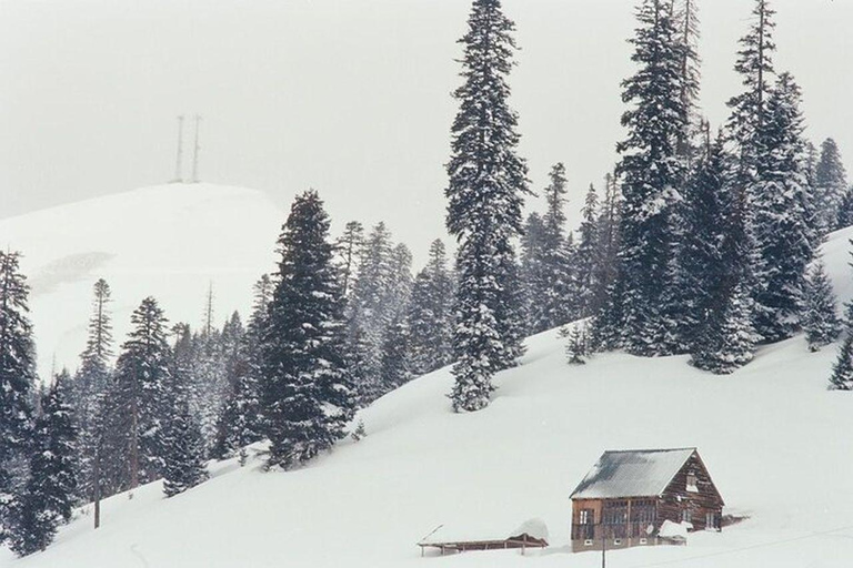 From Batumi: Bakhmaro Winter Tour with Nabeghlavi Stop