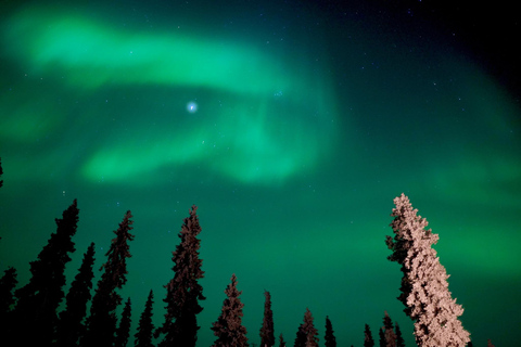 Rovaniemi Northern Lights – The Real Guaranteed Hunt