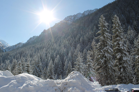 Transylvania: 2-Day Castles, Brasov & Transfagarasan