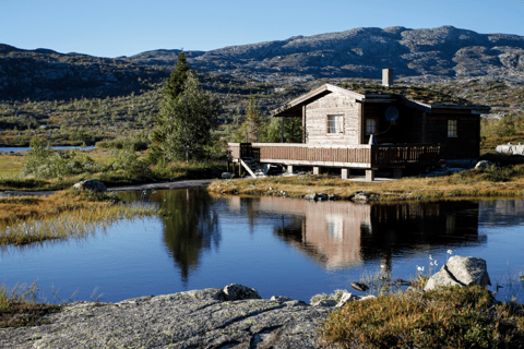 Oslo : Visite en bus et en train à Bergen via Hardangervidda/Fjord