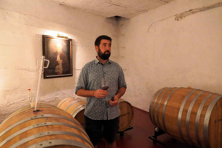 Authentic Rioja Wine Tasting in a Village near Logroño
