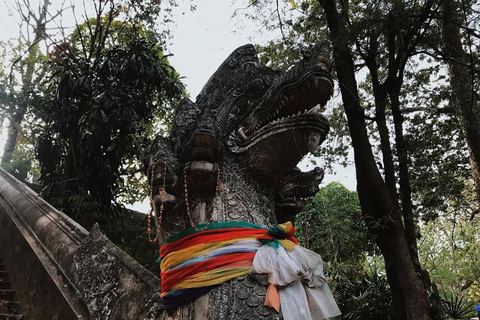 Chiang Mai après le crépuscule : Visite du Doi Suthep et du Wat Umong au crépuscule