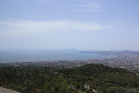 Z Neapolu: Pompeje i Wezuwiusz z lekcją robienia pizzy