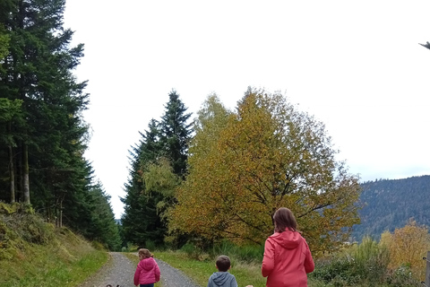 Luvigny: a unique discovery walk with goats Luvigny: An unusual discovery walk with goats