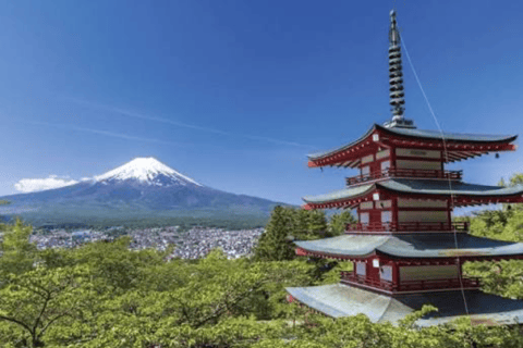 From Tokyo : Mount Fuji Private Tour With English Guide
