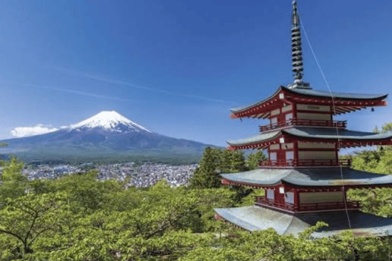 From Tokyo : Mount Fuji Private Tour With English Guide
