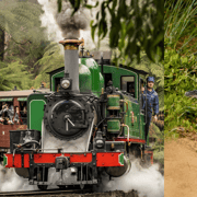 From Melbourne: Puffing Billy & Penguins Combo Tour Package