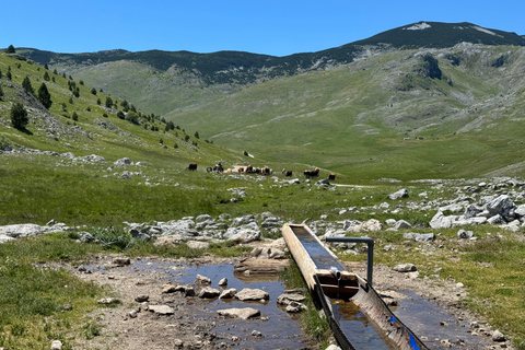 From Sarajevo: Private Lukomir Village 4x4 SafariPrivate Tour With Lunch at Lukomir Village