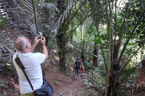 Yogyakarta Countryside Walking Tour and Prambanan Temple