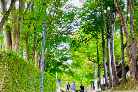 Kyoto - en cykeltur E-Bike-tur med Fushimi Inari-helgedomen och Tofukuji ...