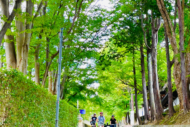 Kyoto : Excursion en E-Bike avec le sanctuaire de Fushimi Inari et Tofukuji ...