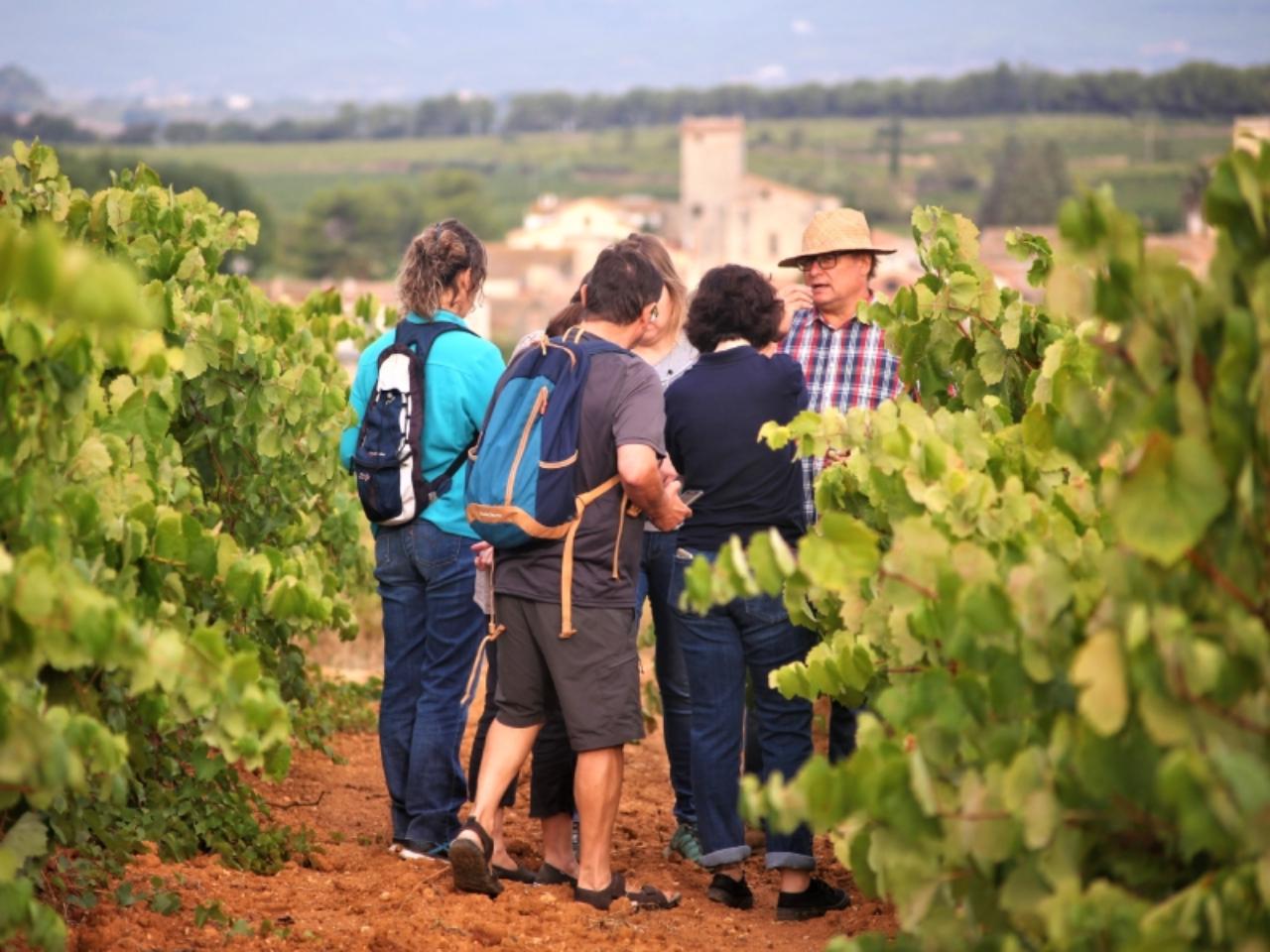 Penedès: Geführte E-Bike-Tour, Brunch & Biowein