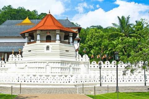 Exploring Sri Lanka's Cultural Heart in 5 Days