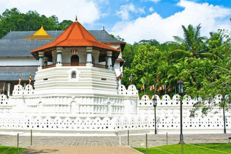 Verken het culturele hart van Sri Lanka in 5 dagen