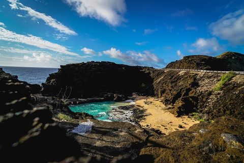 Oahu : Circuit d'une journée sur l'île Circle avec activité sur le rivage nord