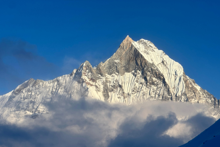 From Pokhara: 4-Day Ghorepani Poon Hill Trek with Guide