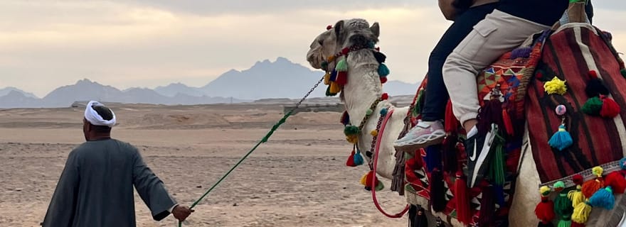 Hurghada : balade à dos de chameau au camp BADU, dîner et observation des étoiles