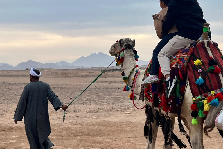 Hurghada: przejażdżka na wielbłądzie w obozie BADU, kolacja i obserwacja gwiazd