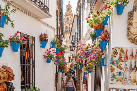 Sevilla: Tour nach Cordoba und zur Moschee-Kathedrale