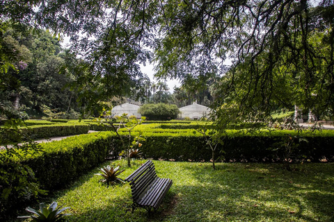 São Paulo: São Paulo Botanical Garden Entry Ticket