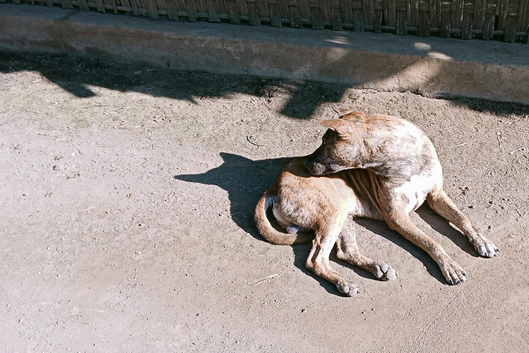 Lombok: Gili Meno Snorkeling, Waterfalls and Village Tours