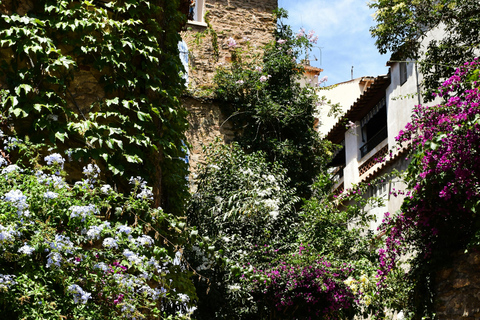 Èze: Walking Tour of Medieval Village and Exotic Garden