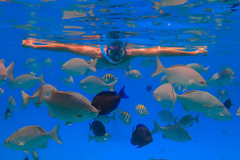 Puerto Plata: Excursão de Snorkeling à Baía de Sosúa