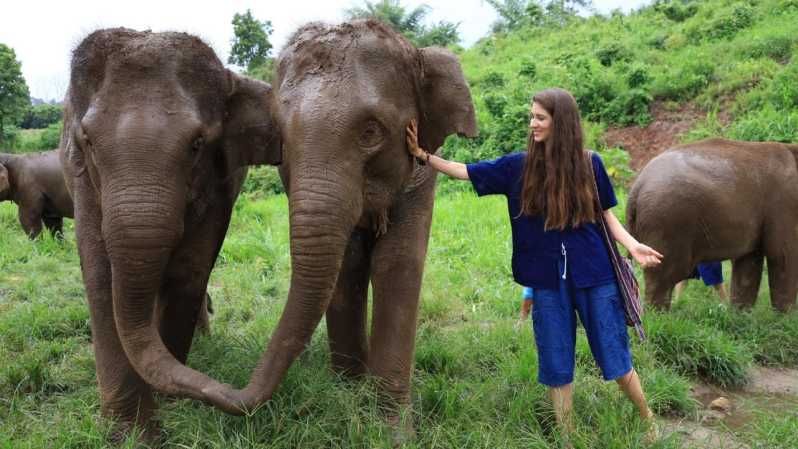 Chiang Mai: Interaktive Tour durch das Elefanten-Schutzgebiet