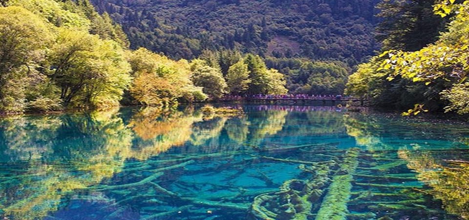 J IU Home Shopping & Huanglong 3 jours Tour privé - Housity